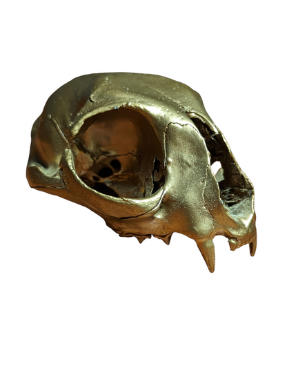 Golden Feline Skull