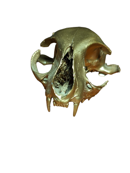 Golden Feline Skull