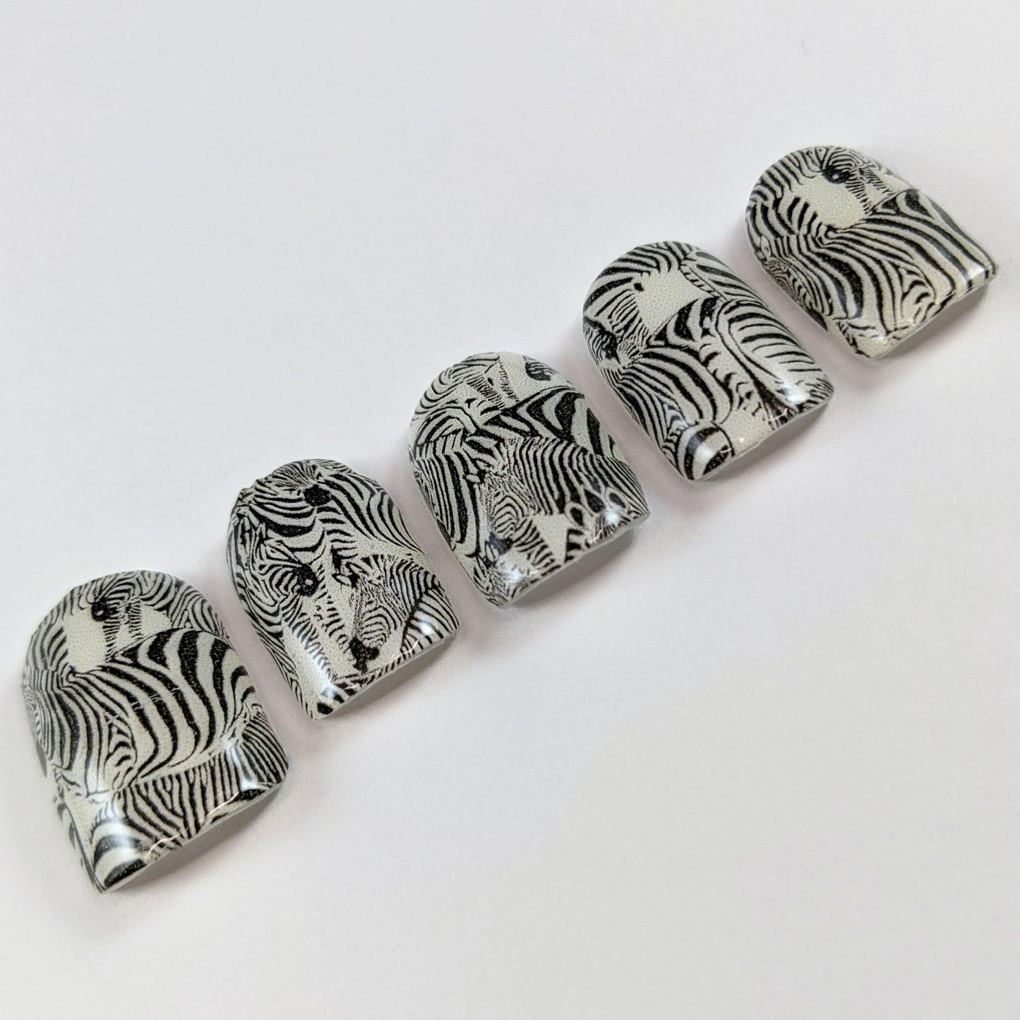 Herd of Zebras - Hand Jobs by Johnny