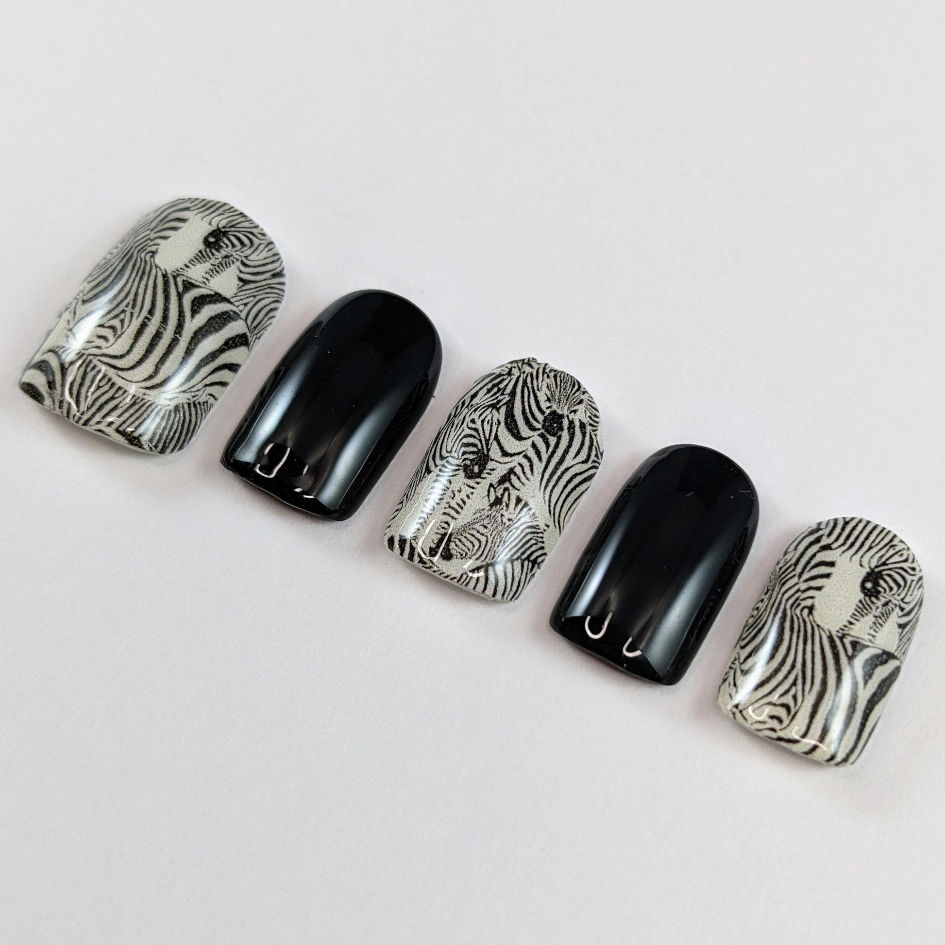 Herd of Zebras - Hand Jobs by Johnny