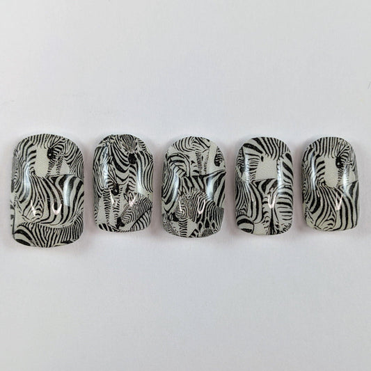 Herd of Zebras - Hand Jobs by Johnny